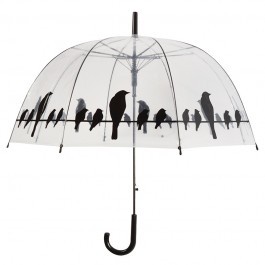 Regenschirm transparent "Vögel auf Draht"