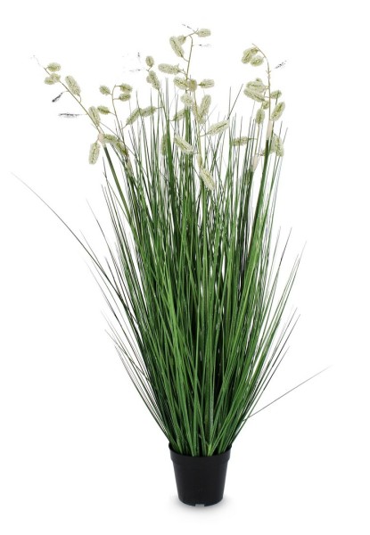 Grünpflanze Grevillea weiß 120 cm 