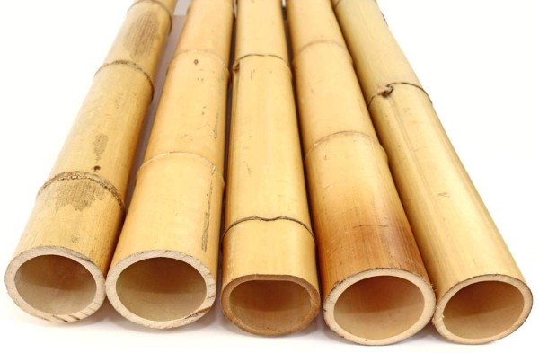 Bambusrohr 200 cm 9-10 cm 