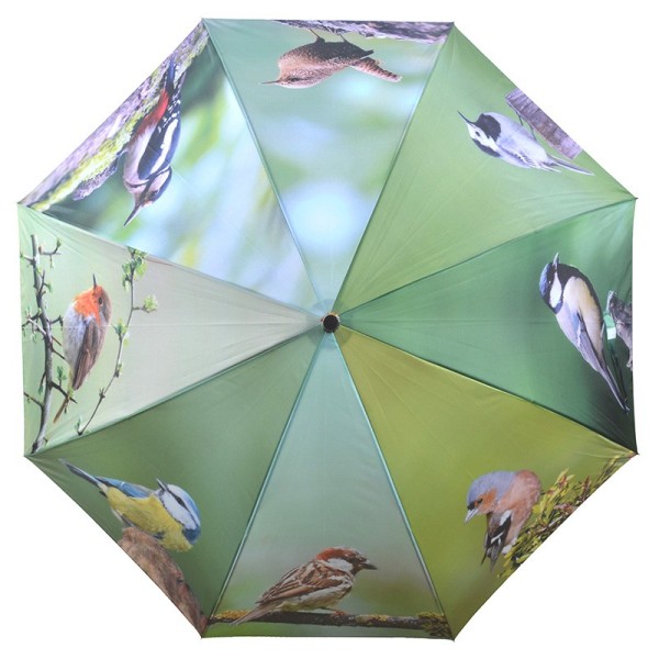 Regenschirm "Vögel"