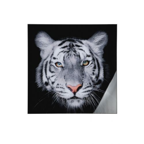 Wandbild "Tiger Head" schwarz/weiss 80x80 cm 