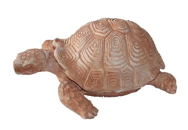 Schildkröte Terrakotta 40x50x20 cm 