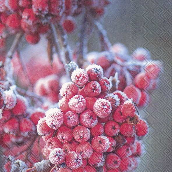 Lunch Servietten Frosty Berries 